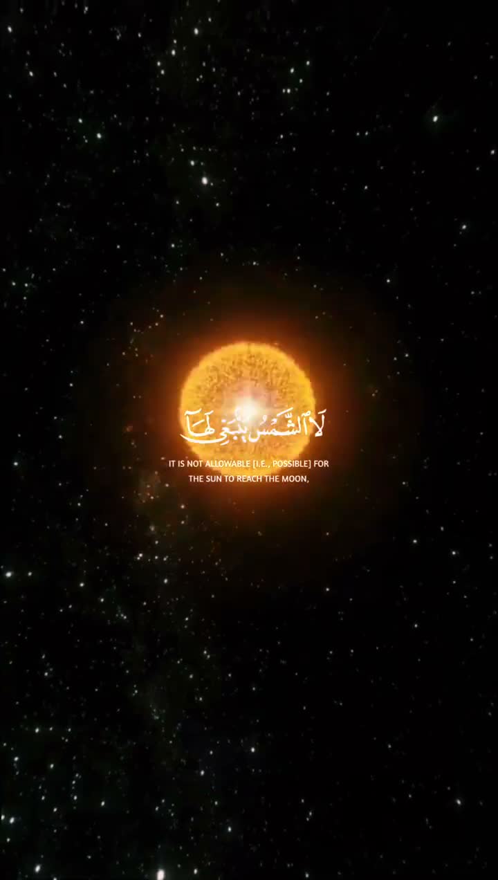 Halaldokan (হালাল দোকান) www.halaldokan.com (3)